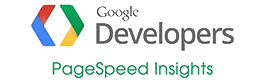 Logo Google PageSpeed Insights pentru demonstrarea vitezei de încărcare sub 1 secundă